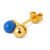 blue/gold